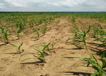 C:\Documents and Settings\Administrator\桌麵\麋鹿\mmexport1499069650769.jpg