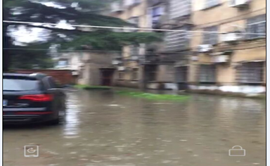 QQ截圖20171218114044