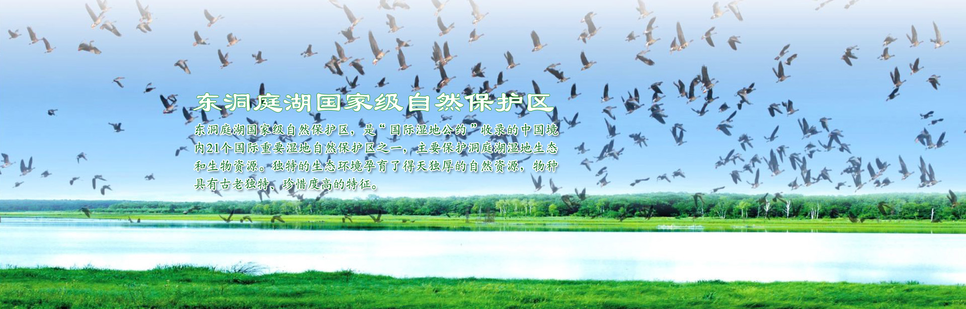 東洞庭湖國家級自然保護區