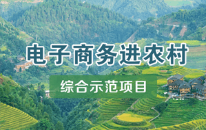 電子商務進農村綜合示範項目